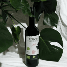 Lussory - Organic Merlot (0.0%) [Case-6] - HWC Distribution