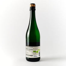 Lussory - Organic Brut Sparkling (0.0%) [Case-6] - HWC Distribution